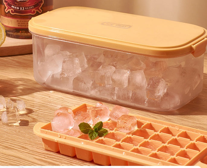 Ice Mold Box